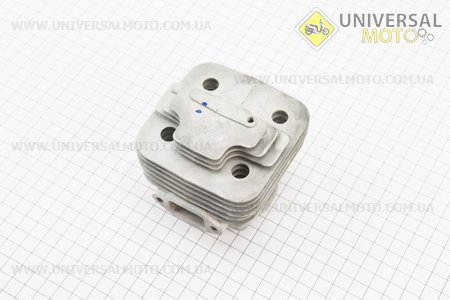 Цилиндро поршневой комплект (цпг) 40мм (палец 10мм). TATA (Триммер / UM2020-V46)