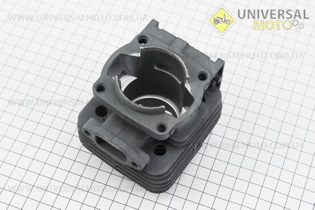 Цилиндро поршневой комплект (цпг) 44мм (палец 10мм). TATA (Триммер / UM2023-V01)