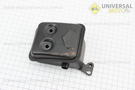 Глушник 1E36F. Китай (Запчастини для триммера / UM2024-V39)