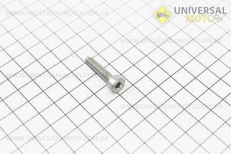 Болт кришки (піддону) циліндру IS D5x24, оригінал (90754784159). STIHL (Запчастини до бензопили STIHL / UM2033-V77)