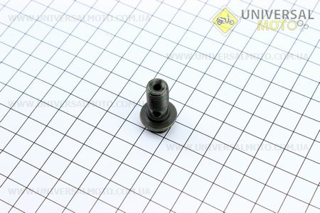 Болт гальмівного шлангу M10. Китай (Різне / UM3017-V61)