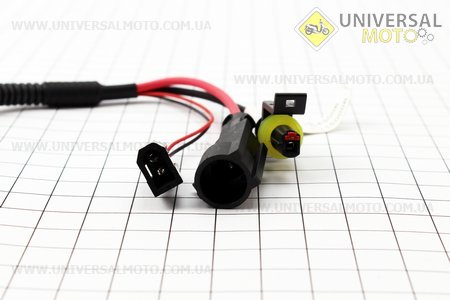 Лампа БІ-XENON H6 (12V 50W DC AMP) 4300K, шт. Китай (Різне / UM3018-V23)