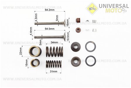 Клапан впускний, випускний ПОВНИЙ комплект 64мм. TATA (Запчастини до 4Т скутера / UM3090-V49)