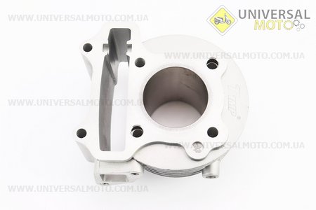 Циліндро поршневий комплект (цпг) 60см.куб.-44мм (палець 13мм). TMMP (Запчастини до 4Т скутера / UM3095-V16)