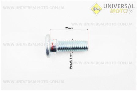 Болт кріплення гальмівного диска з потаем M8*L25мм. Китай (Запчастини до японського скутера / UM3098-V78)