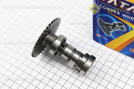 Розподільний вал у зборі. TATA (Запчастини до 4Т скутера / UM3101-V97)