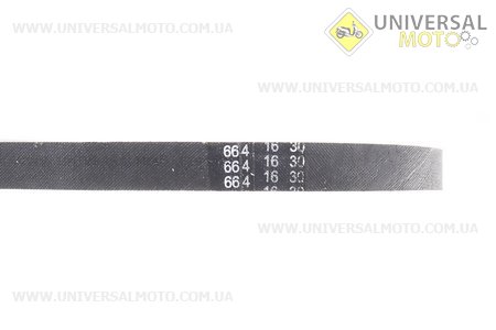 Ремінь 664х16. TATA (Запчастини до японського скутера / UM3312-V05)