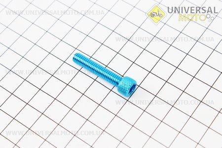Болт алюминиевый под шестигранник M6 x 30 СИНИЙ