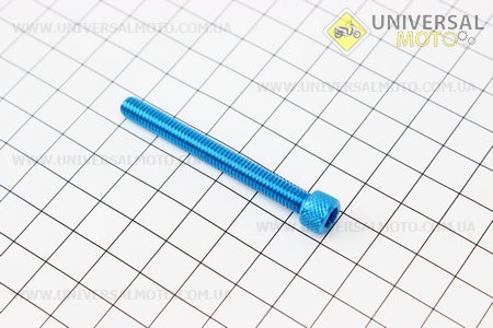 Болт алюминиевый под шестигранник M6 x 55 синий . Taiwan (МОТО инструмент / UM3320-V61)