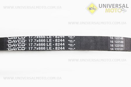 Ремінь 666x17,7 HONDA Dio AF 35, AF 56/57, оригінал DY8244. DAYCO (Запчастини до японського скутера / UM3394-V73)