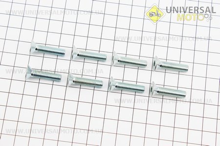 Болт кришки клонували М6 х25 комплект 8шт Юпітер. Украина (Запчастини  на мотоцикл ІЖ / UM3424-V13)