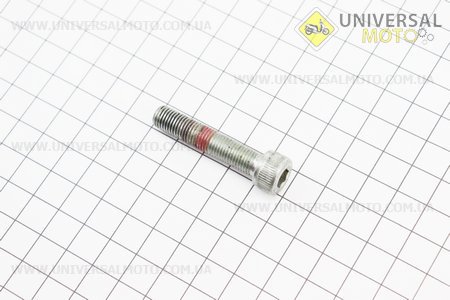 BOXER BM/ВМX 150cм3 Болт М8 кріплення зірки ГРМ "59040031" (з розбирання, новий). BAJAJ (Запчастини на мотоцикли Bajaj / UM3580-V08)