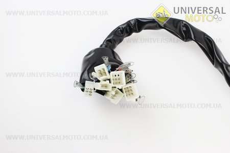 Проводка центральна. TATA (Запчастини на мотоцикл Viper V150A / UM5081-V83)