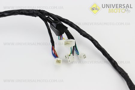 Проводка центральна. TATA (Запчастини на мотоцикл Viper V150A / UM5081-V83)