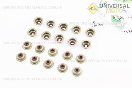 Сальники клапанів комплект 2шт 168F/170F. Viper (Запчастини на мотоблок з двигуном 168F / UM6016-V33)