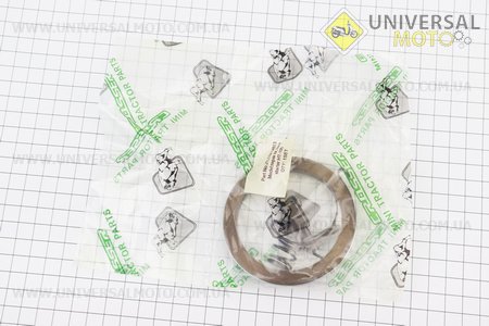 Ремонтний комплект ручного стартеру (кулачок-1шт, пружина-2шт) 178F. Viper (Запчастини на мотоблок з двигуном 178 и 186F / UM6020-V54)