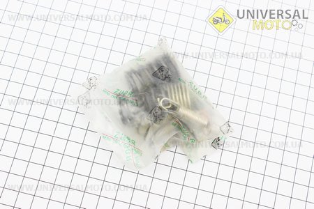 Пружини двигуна комплект 11шт 178F. Viper (Запчастини на мотоблок з двигуном 178 и 186F / UM6023-V08)