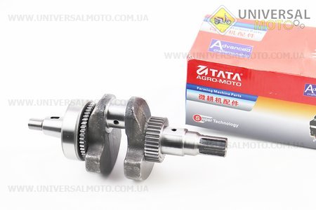 Колінвал 178F під шліц + шестерні + підшипник. TATA (Запчастини на мотоблок з двигуном 178 и 186F / UM6025-V55)