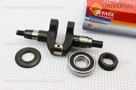 Коленвал 186F под шлиц + шестерни + подшипник. ТАТА (Мотоблочный двигатель 178/186F / UM6025-V68)