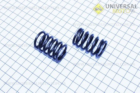 Пружина клапана к-кт 2шт 175A/R180NM