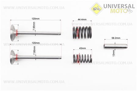 Клапан впускний (h-120; D-42; d-7,95), випускний (h-120; D-36; d-7,95) в зборі комплект R195NM. Китай (Запчастини на мотоблок з двигуном 190 и 195N / UM6041-V20)