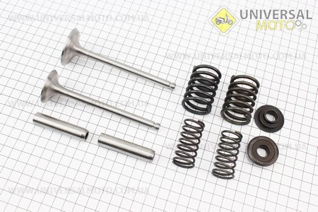 Клапан впускний (h-120; D-42; d-7,95), випускний (h-120; D-36; d-7,95) в зборі комплект R195NM. Китай (Запчастини на мотоблок з двигуном 190 и 195N / UM6041-V20)