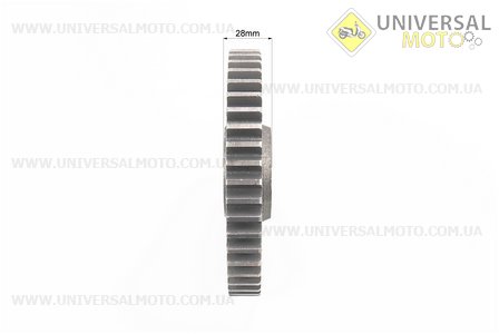 КПП - Шестерня піввісь (6 шліців) 81-1 Z = 47. Китай (Запчастини на мотоблок з двигуном 175 и 195N / UM6042-V52)