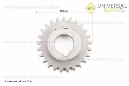 КПП - Шестерня під шпонку h = 20мм, Z = 25. Китай (Запчастини на мотоблок з двигуном 175 и 195N / UM6043-V02)