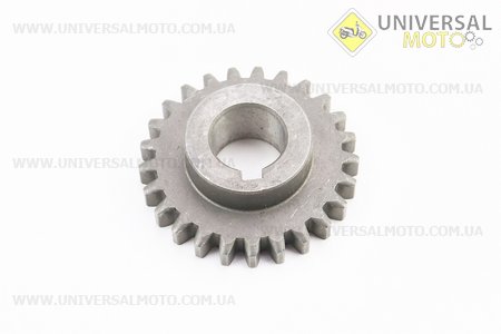 КПП - Шестерня під шпонку h = 20мм, Z = 25. Китай (Запчастини на мотоблок з двигуном 175 и 195N / UM6043-V02)