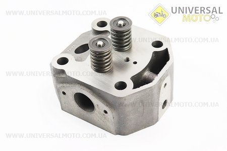 Головка циліндру R195NM в зборі. TATA (Запчастини на мотоблок з двигуном 190 и 195N / UM6046-V39)