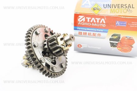 Диференціал в зборі Z=43, Z=15x16, Z=11 ZUBR Z-250. TATA (Запчастини на мототрактор / UM6082-V89)