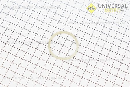 Кільце завзяте голчастого підшипнику d = 36мм, D = 41мм пластик (300.41B.104). Китай (Запчастини на мінітрактор Донг Фенг / UM6150-V39)