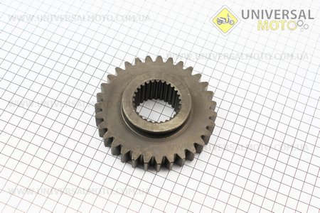 Шестерня відома валу відбору потужності Z = 31/28 DongFeng 354/404 (400B.41.117). Китай (Запчастини на мінітрактор Донг Фенг / UM6152-V25)