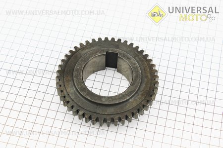 Шестерня 1 передачі Z = 44 Foton 244, ДТЗ 244, Jinma 244/264. Китай (Запчастини на мінітрактор Foton / UM6170-V88)