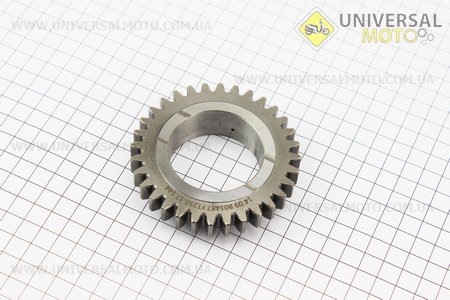 Шестерня 3 передачі Z = 31/32 Foton 244, Jinma 244/264 (250.37.144). Китай (Запчастини на мінітрактор Foton / UM6170-V90)