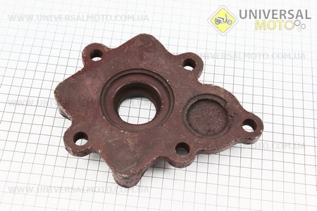 Корпус підшипнику валу відбору потужності Xingtai 120/220 (16.37.316). Китай (Запчастини на мінітрактор Xingtai / UM6180-V34)