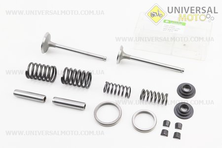 Клапан впускний (h-120; D-42; d-7,95), випускний (h-120; D-36; d-7,95) у зборі комплект R195NM. Viper (Запчастини на мотоблок з двигуном 190 и 195N / UM6240-V29)