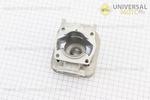 Цилиндро поршневой комплект (цпг) 40мм (палец 10мм). TATA (Триммер / UM2020-V46)