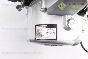 Двигун для квадроцикла (мопедний) в зборі 125куб - "механіка" (3передачі + 1 задня), сірий. TMMP (Двигуни в зборі / UM3071-V53)