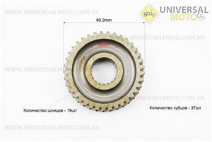 Вал редуктора первичный, вторичный, промежуточный + шестерни комплект 5 деталей, 250см3 . Китай (Скутер 250см3 / UM3131-V22)
