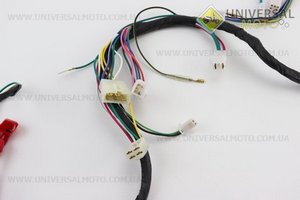 Проводка основне (див. фото). Китай (Запчастини на скутер Viper Active / UM3200-V19)