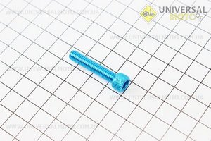 Болт алюминиевый под шестигранник M6 x 30 СИНИЙ