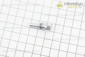 Болт ролика ГРМ направляючого, тип 2. Китай (Запчастини для мопеда Дельта / UM3389-V43)