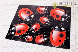 Наклейки на планшете "божья коровка"