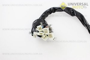 Проводка центральна. TATA (Запчастини на мотоцикл Viper V150A / UM5081-V83)