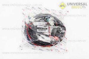 Проводка центральна. TATA (Запчастини на мотоцикл Viper V150A / UM5081-V83)