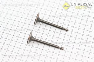 УЦІНКА МБ-D168F Клапан впускний (h-64; D-25; d-5,45), випускний (h-62; D-24; d-5,45) комплект 2 штуки 168F (іржавий, дивись фото). Китай (Уцінка / UM6015-V29)