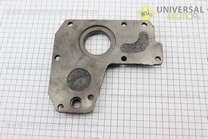 КПП - Кришка збоку (ліва) 101-2. Китай (Запчастини на мотоблок з двигуном 175 и 195N / UM6031-V03)