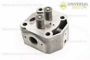 Головка циліндру R195NM в зборі. TATA (Запчастини на мотоблок з двигуном 190 и 195N / UM6046-V39)