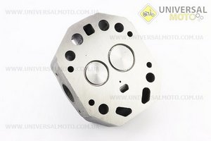 Головка циліндру R195NM в зборі. TATA (Запчастини на мотоблок з двигуном 190 и 195N / UM6046-V39)
